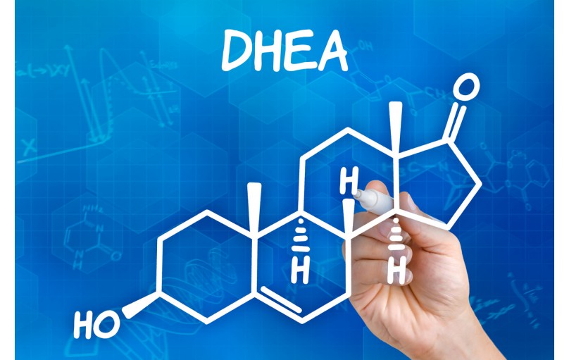 Препараты ДГЭА (DHEA) - средство для продления молодости