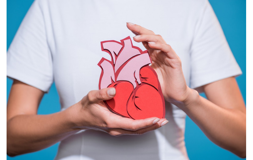 Астаксантин и здоровье сердца: какая связь?