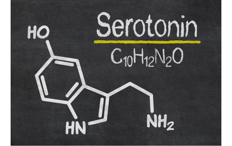10 продуктов для увеличения серотонина