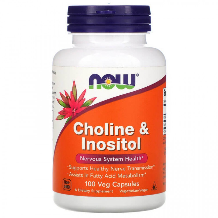 Choline & Inositol 500 mg 100 caps / Холин и Инозитол